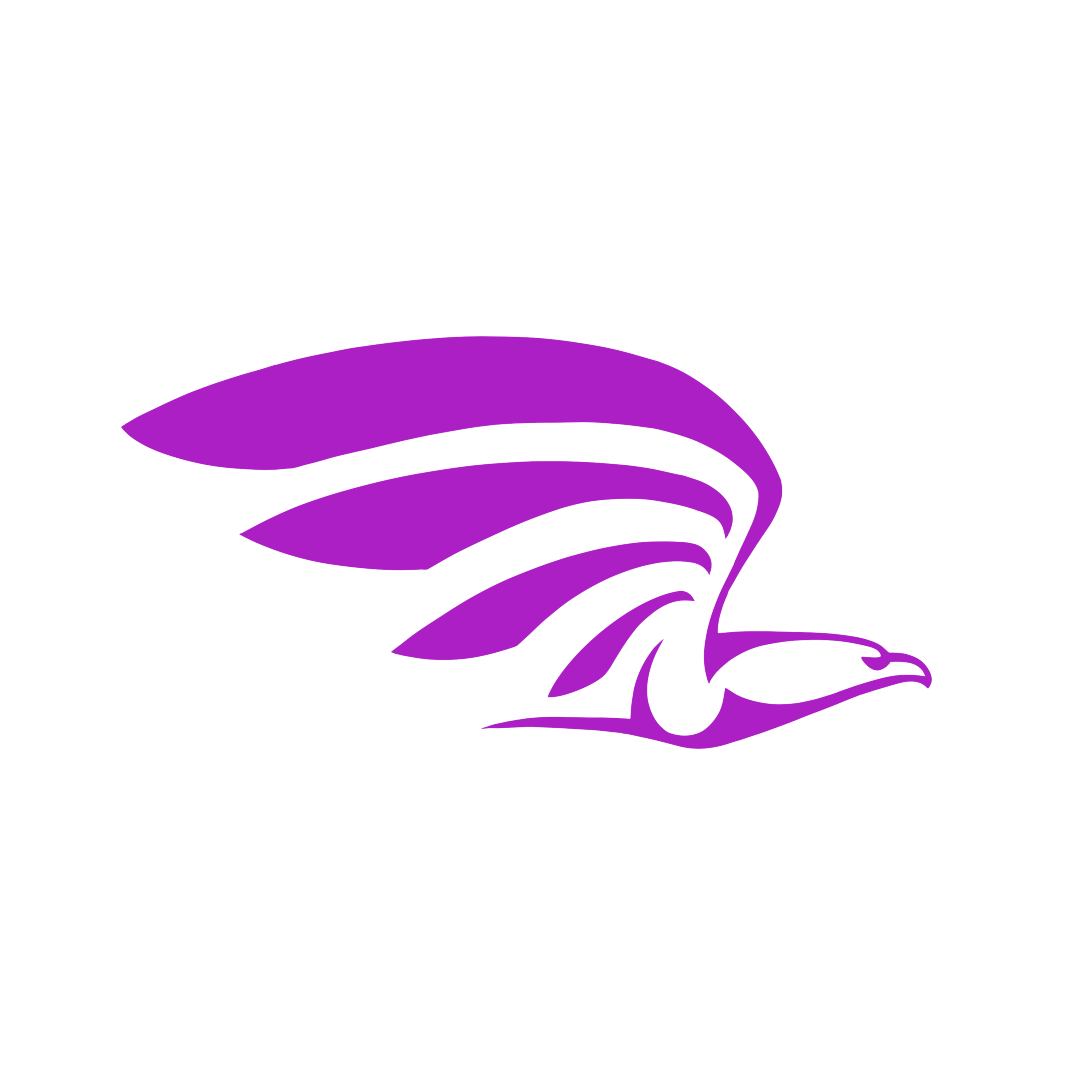 Eagle Eye System Solutions logo